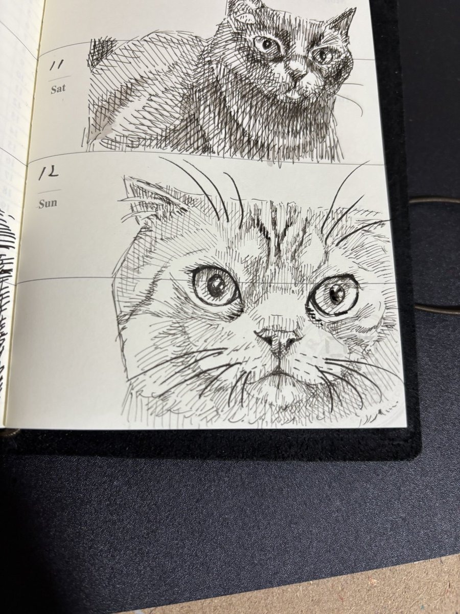 お茶♨️ tweet media