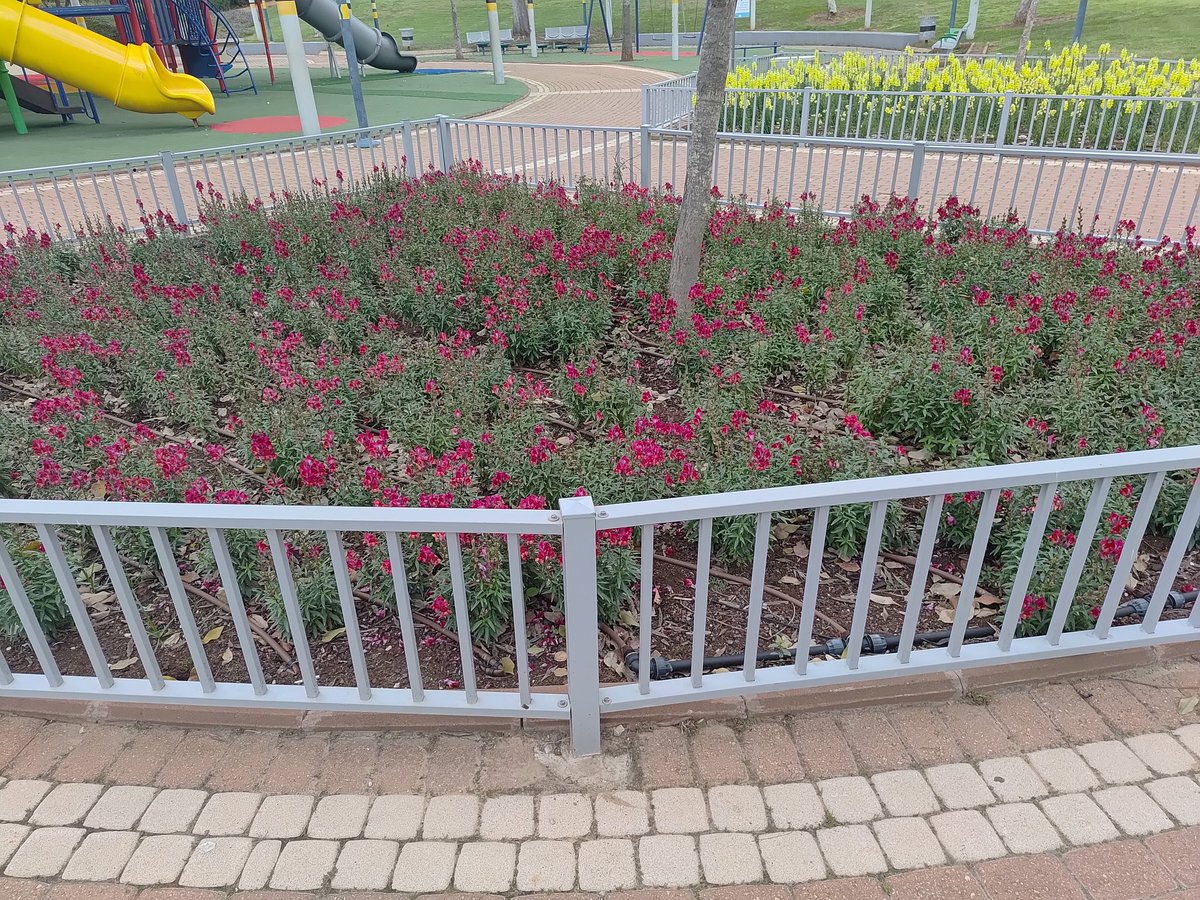 לא מאמין שהכניסו את הפרחים לכלא :((((
<a href="/removefence/">גדרות שצריך להסיר</a>