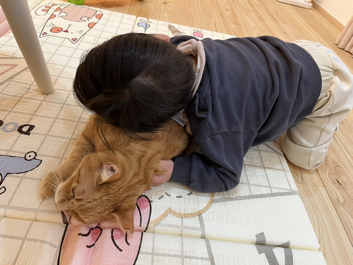 mika48mika's tweet photo. 孫っこに猫の吸いかたを指導してもらいました。笑 https://t.co/ExaCmDXRM0