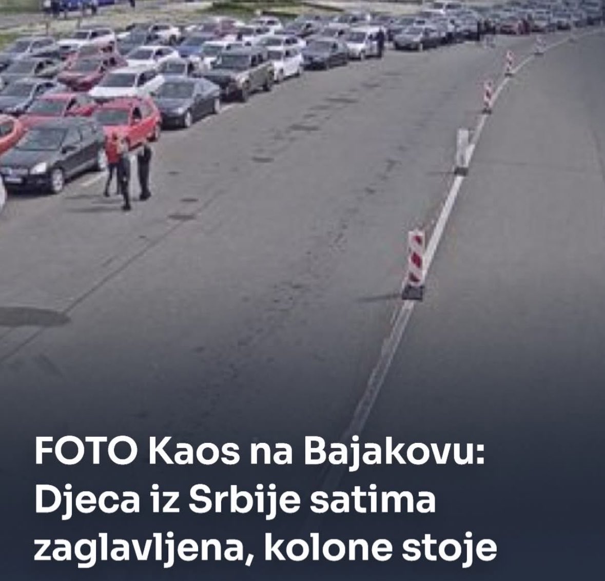 Ovca Je Crna tweet media