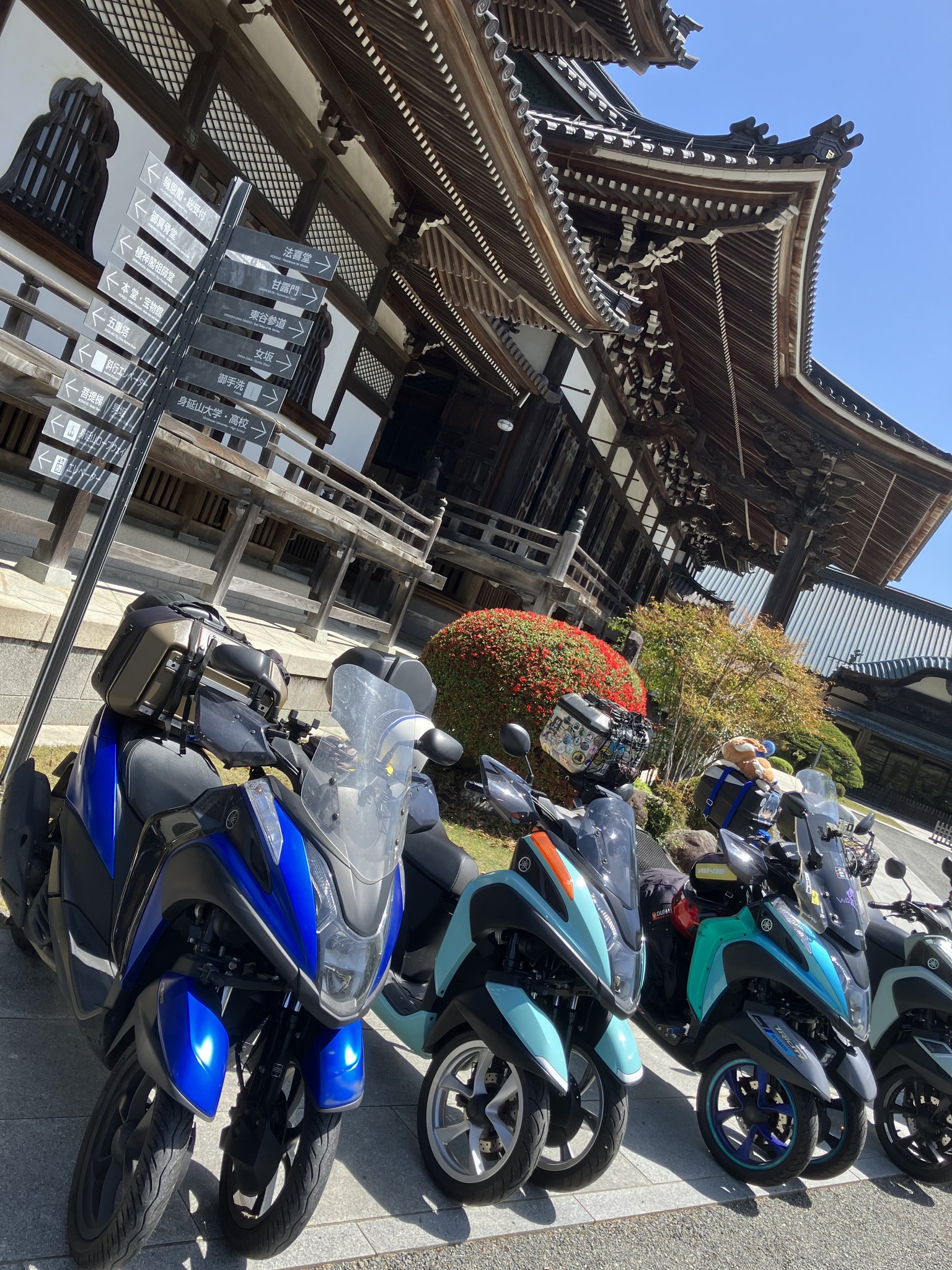 抹茶３(MaCH_3)承 (@matsugha) on X