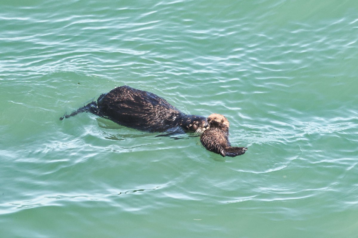 温根湯温泉の人♨️ tweet media