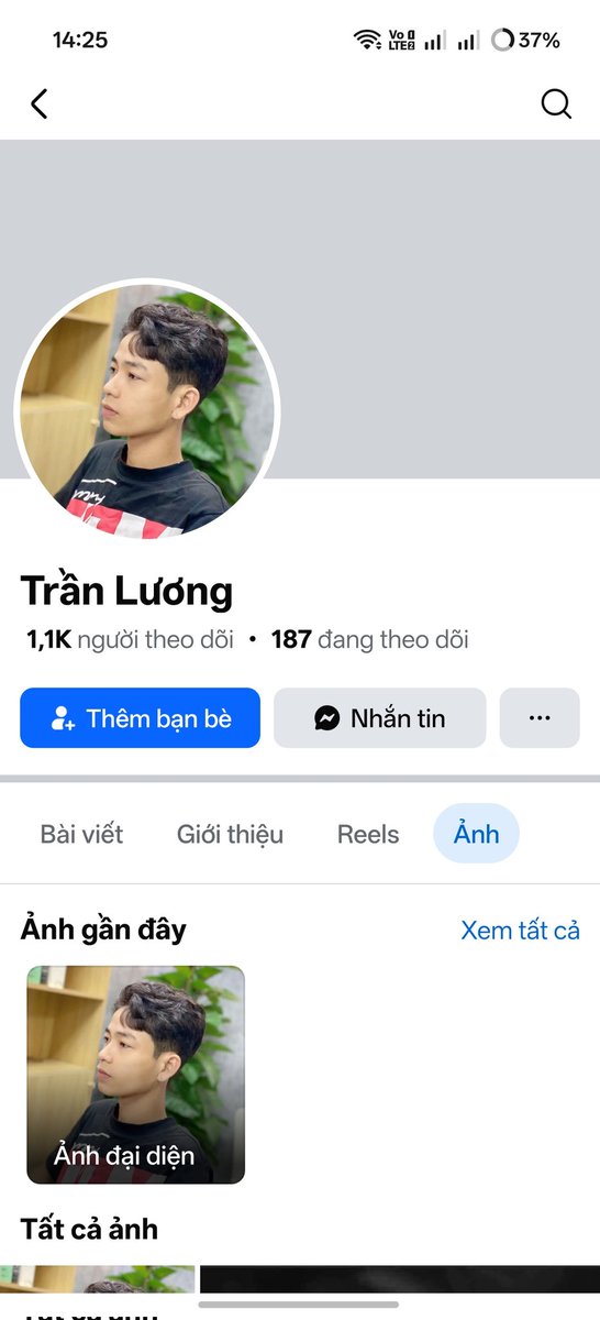 Phan Phú tweet media