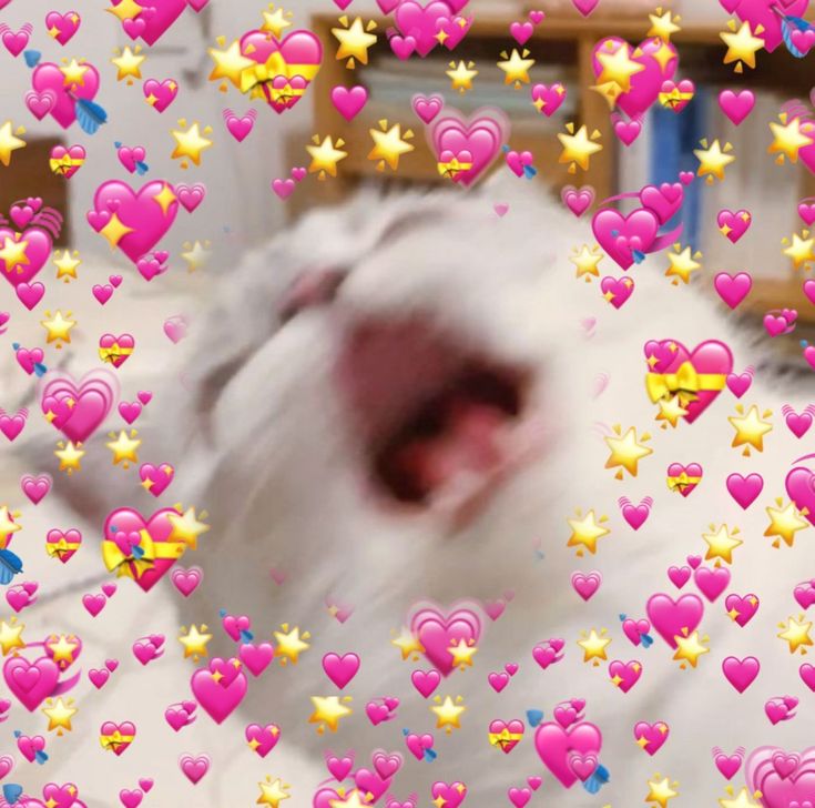 PastelHeartBox tweet media