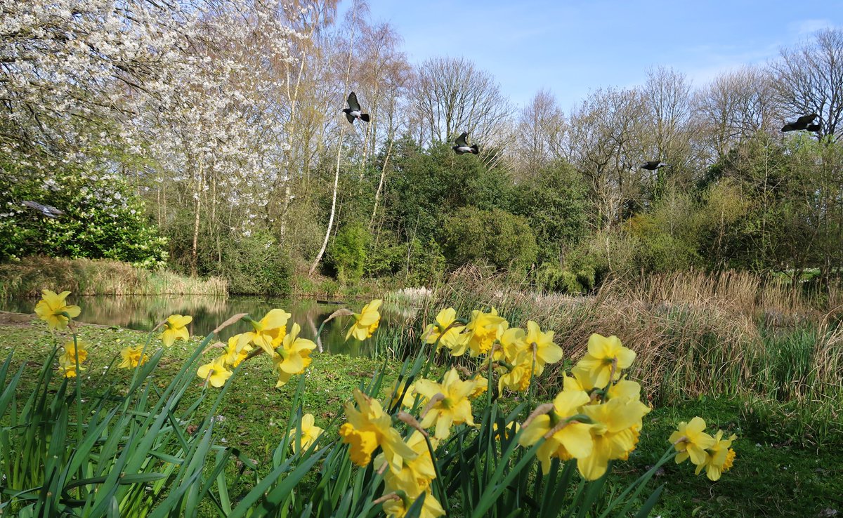 Postcards from Salford tweet media