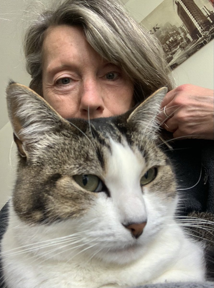 😈 PAT 66 👿 NO DM & LIST tweet media