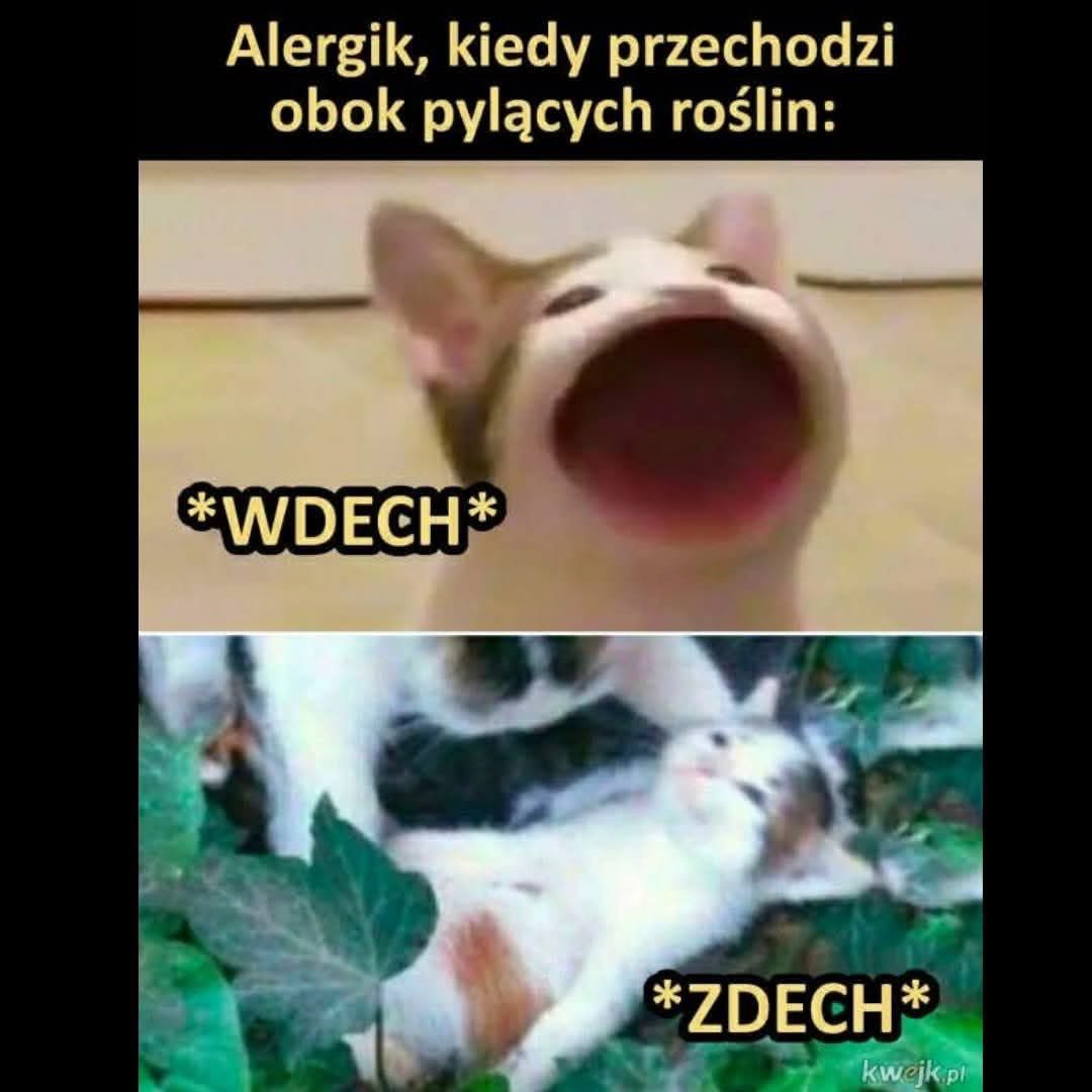 _your_queen_ 🧸 tweet media