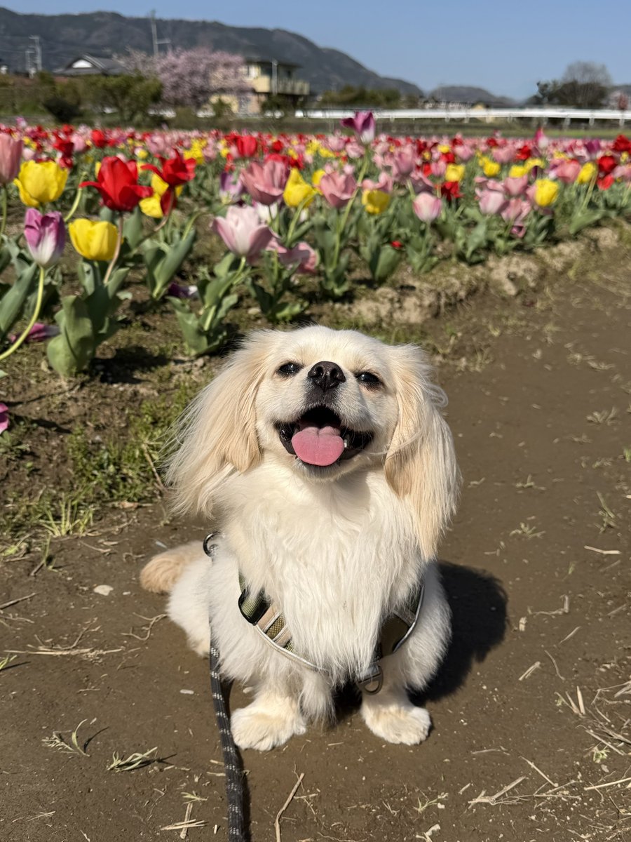 𝙈𝙖𝙮𝙤 tweet media