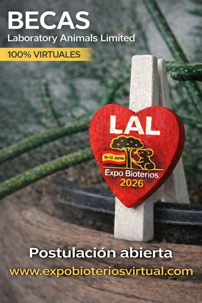 🎓 ¡EXTENDIDO! Becas LAL para #ExpoBioterios2026
Profesionales y estudiantes de LATAM pueden acceder con beca a la modalidad virtual 🌎💻
⏳ Nuevo cierre: 15 de abril
👉 lal.org.uk/laboratory-ani…
⚠️ Cupos limitados
#Bioterios #LaboratoryAnimals #Ciencia
