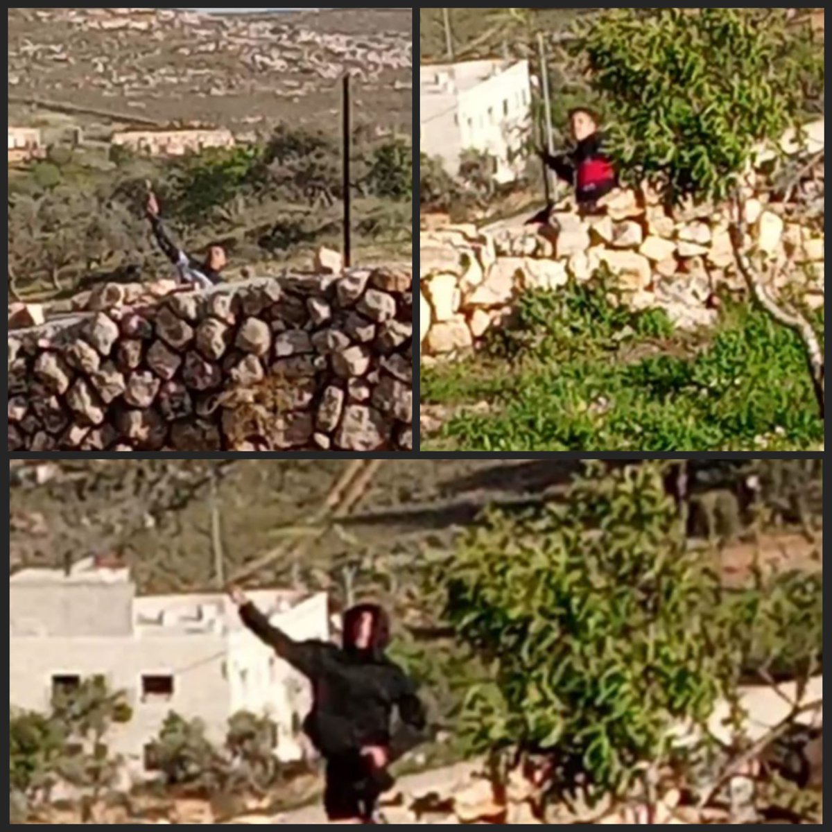 Yossi Eli tweet media