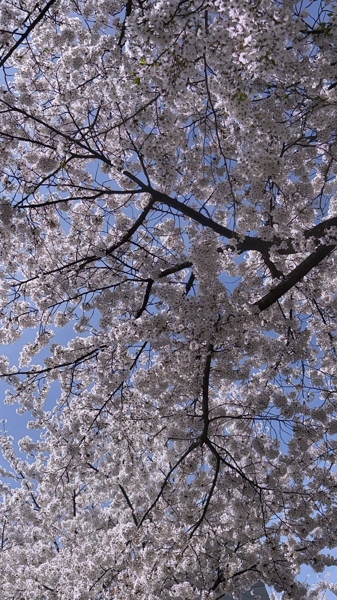 버터.. tweet media