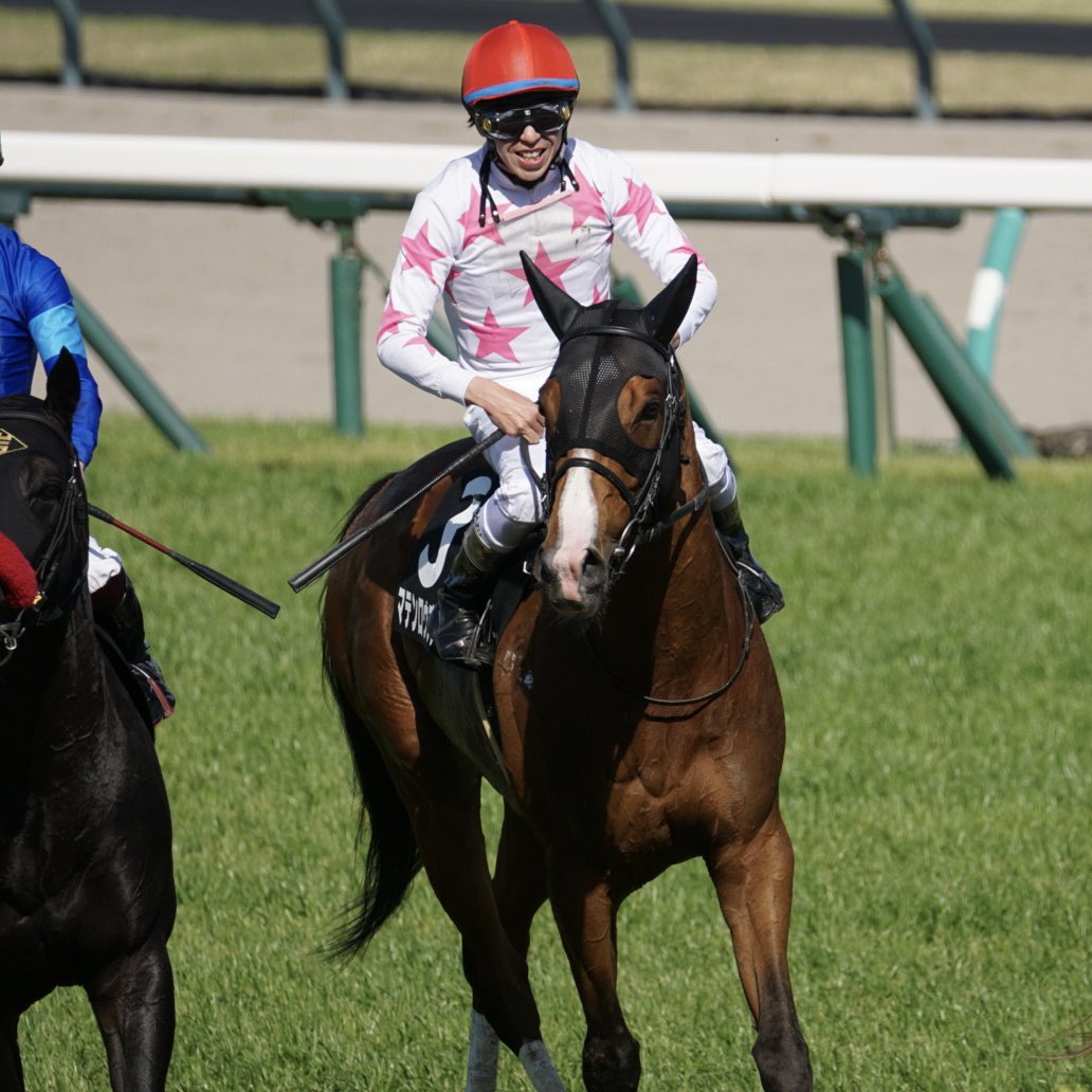 あっきい🐾 tweet media