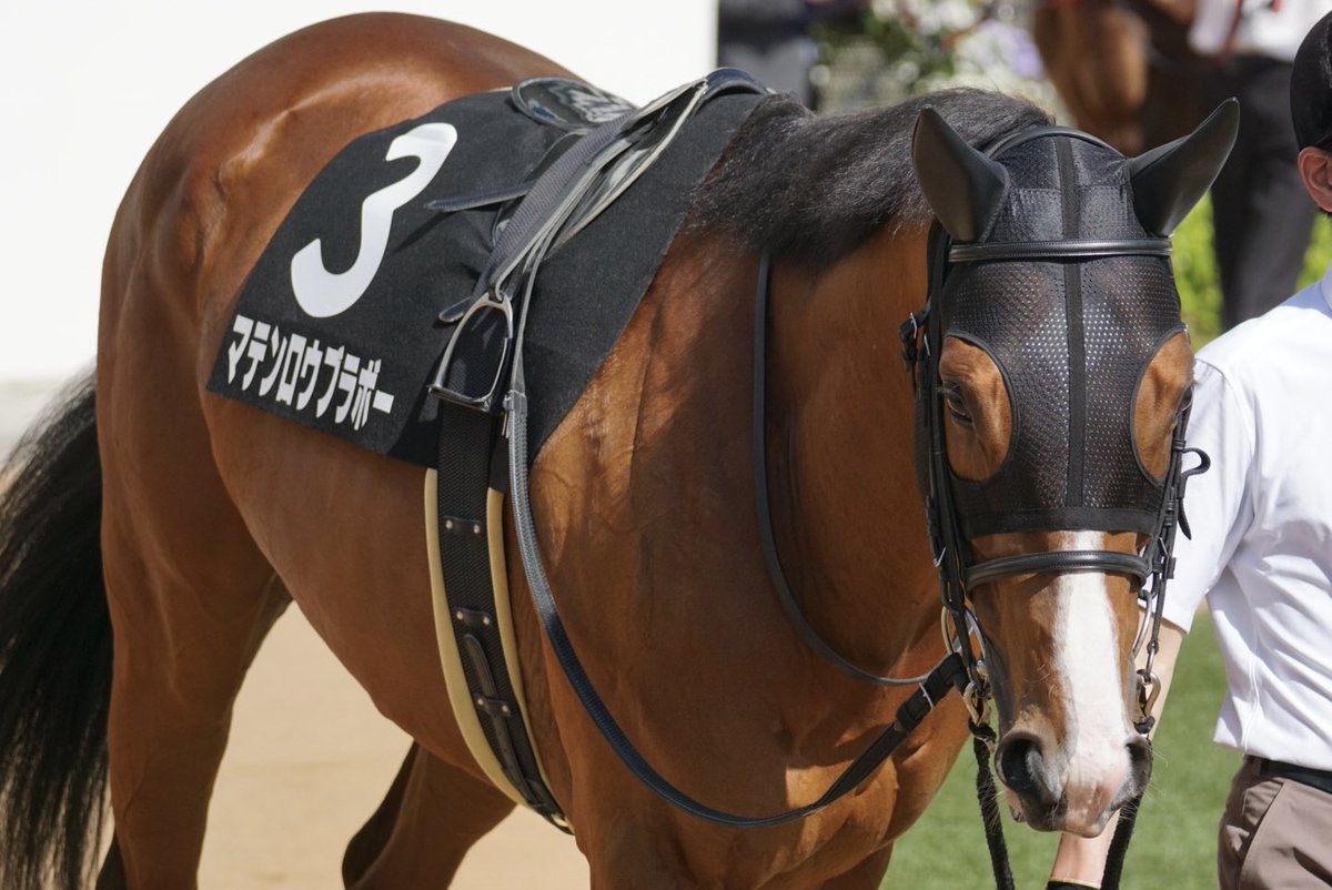 あっきい🐾 tweet media