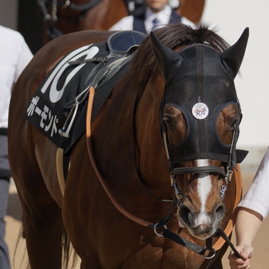 あっきい🐾 tweet media