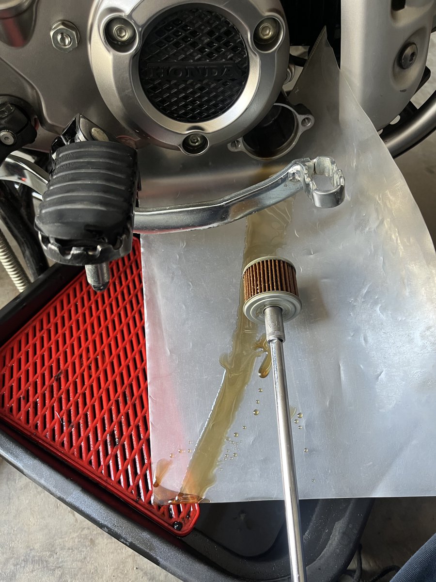 Ben⊿ 🐵🐶🐻+🚐&🦅(🔥🌪️)+🦢 tweet media