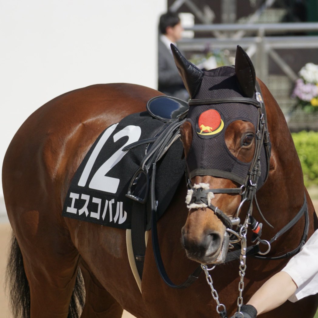 あっきい🐾 tweet media