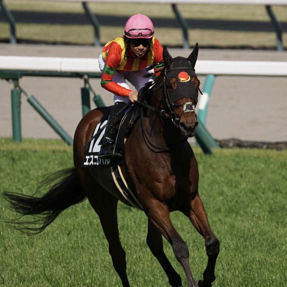 あっきい🐾 tweet media