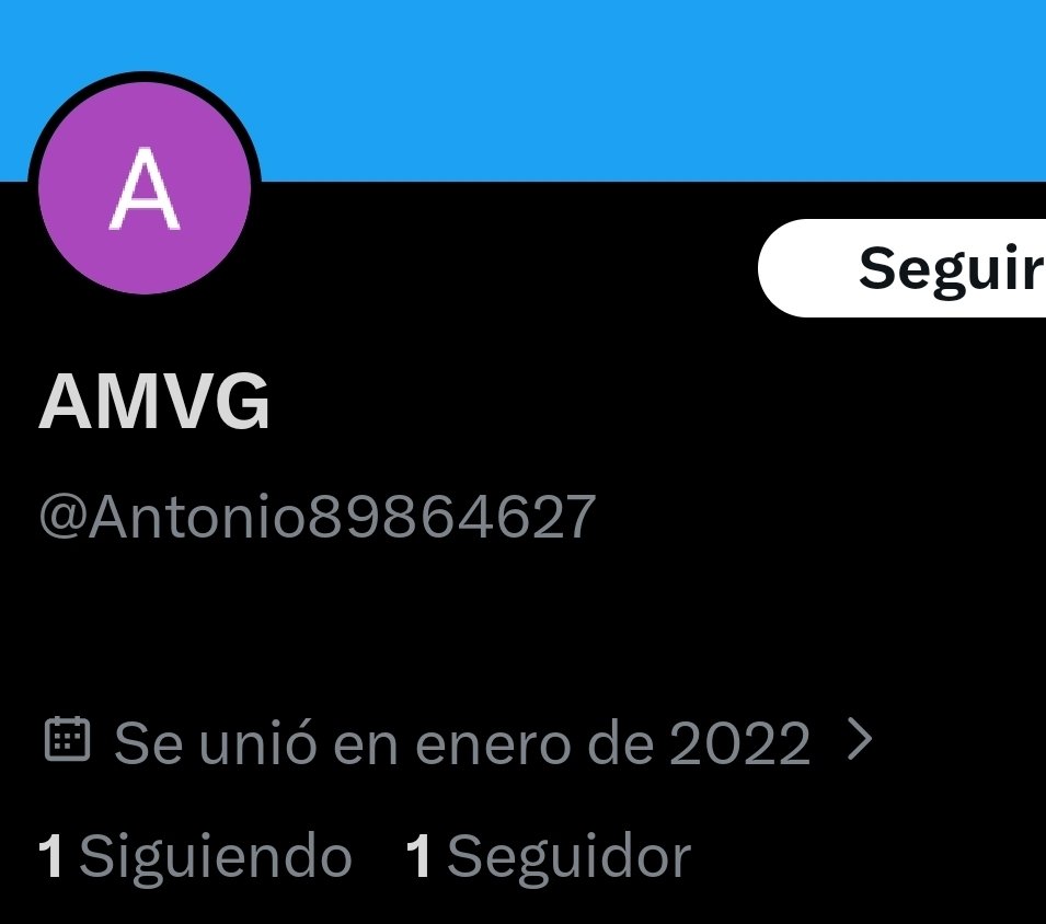 WillyPol tweet media