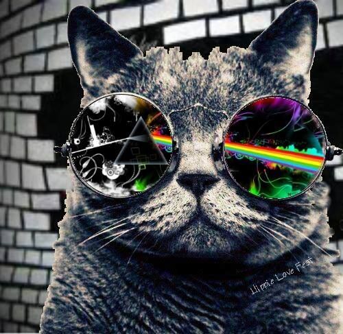 Pink Floyd 💎 tweet media