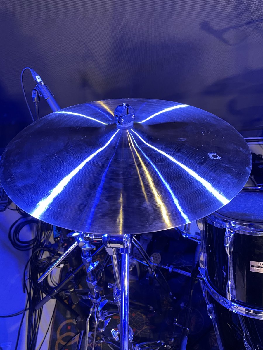 ダイウルフ tweet media