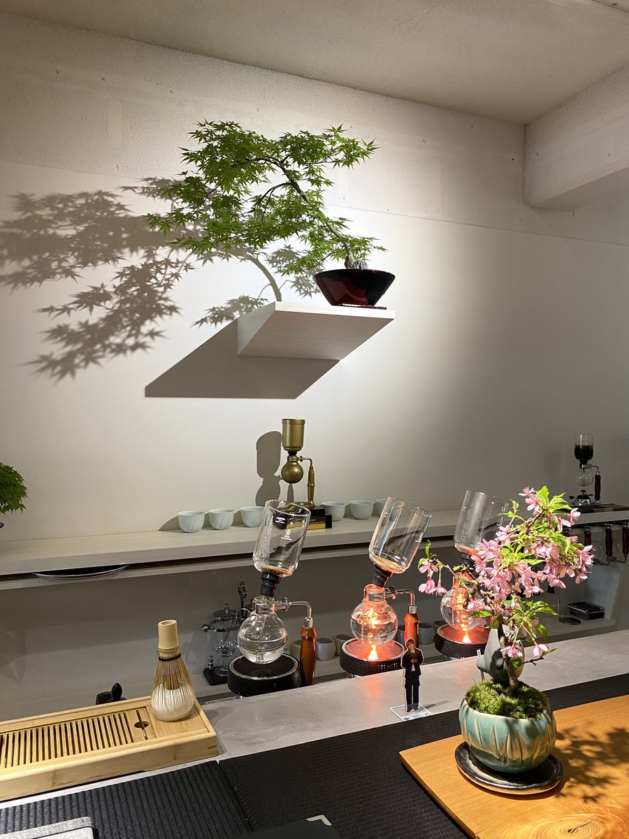 𝒯♥️ tweet media