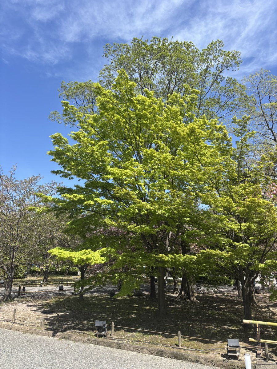 くるん💪🏿🤬 tweet media