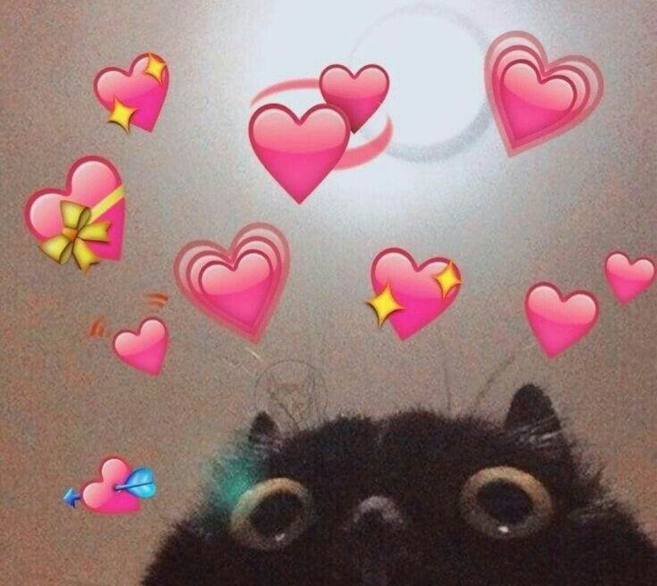 рыбь позор 🏳️‍🌈 tweet media