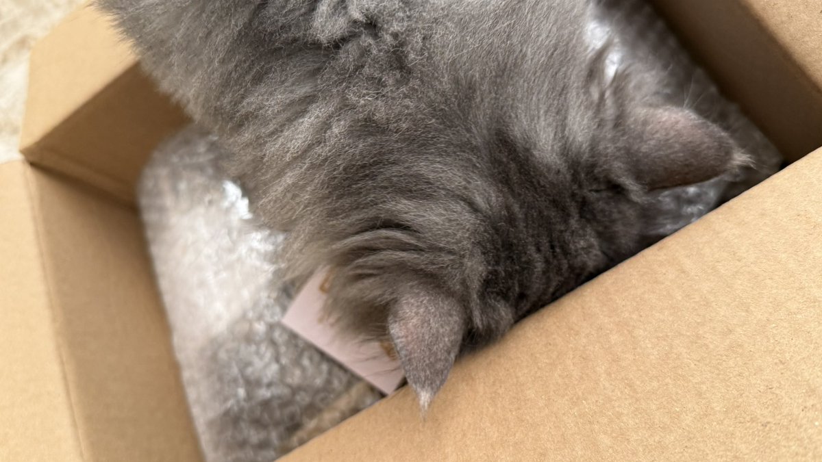 C.Ghadeer tweet media