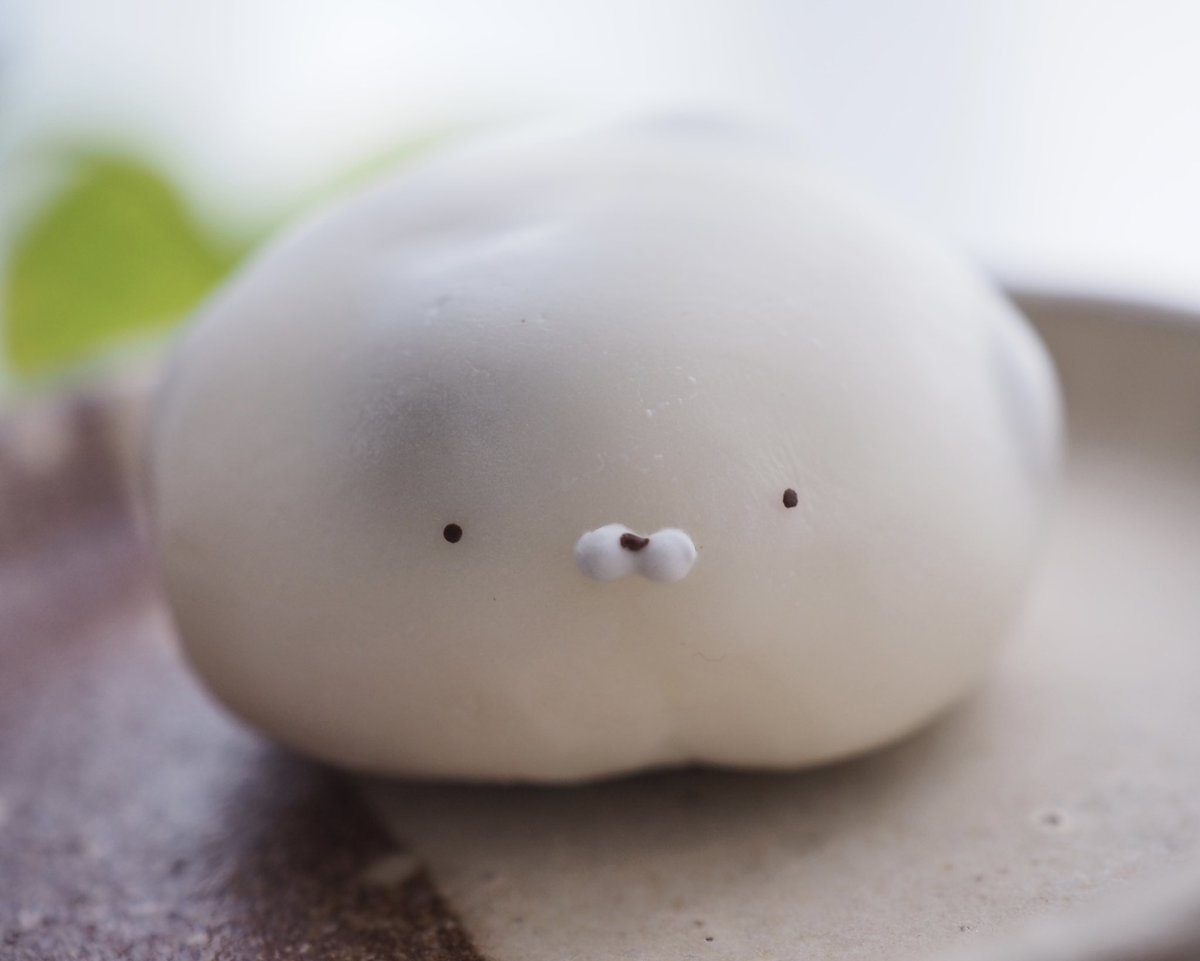 まいにちごまふぅ tweet media