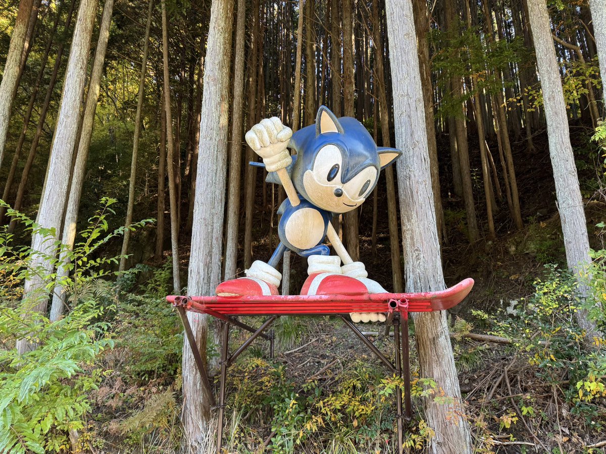 キジトラテ(2026ロード新車が楽しみ) tweet media