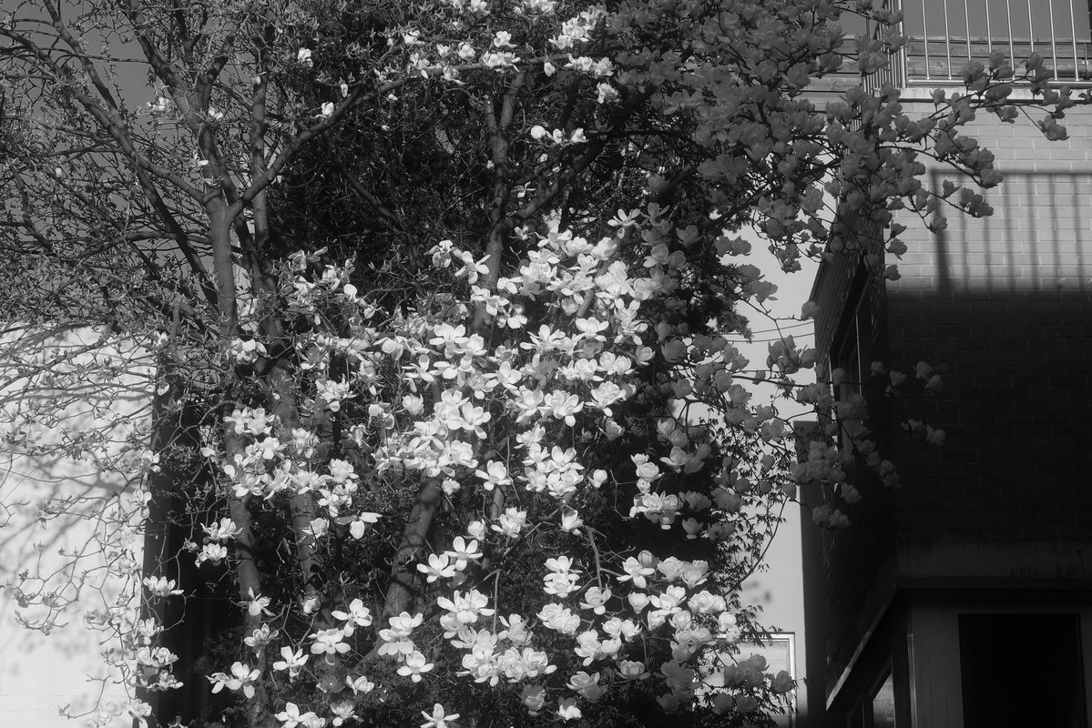 TEMPEST(템페스트) tweet media