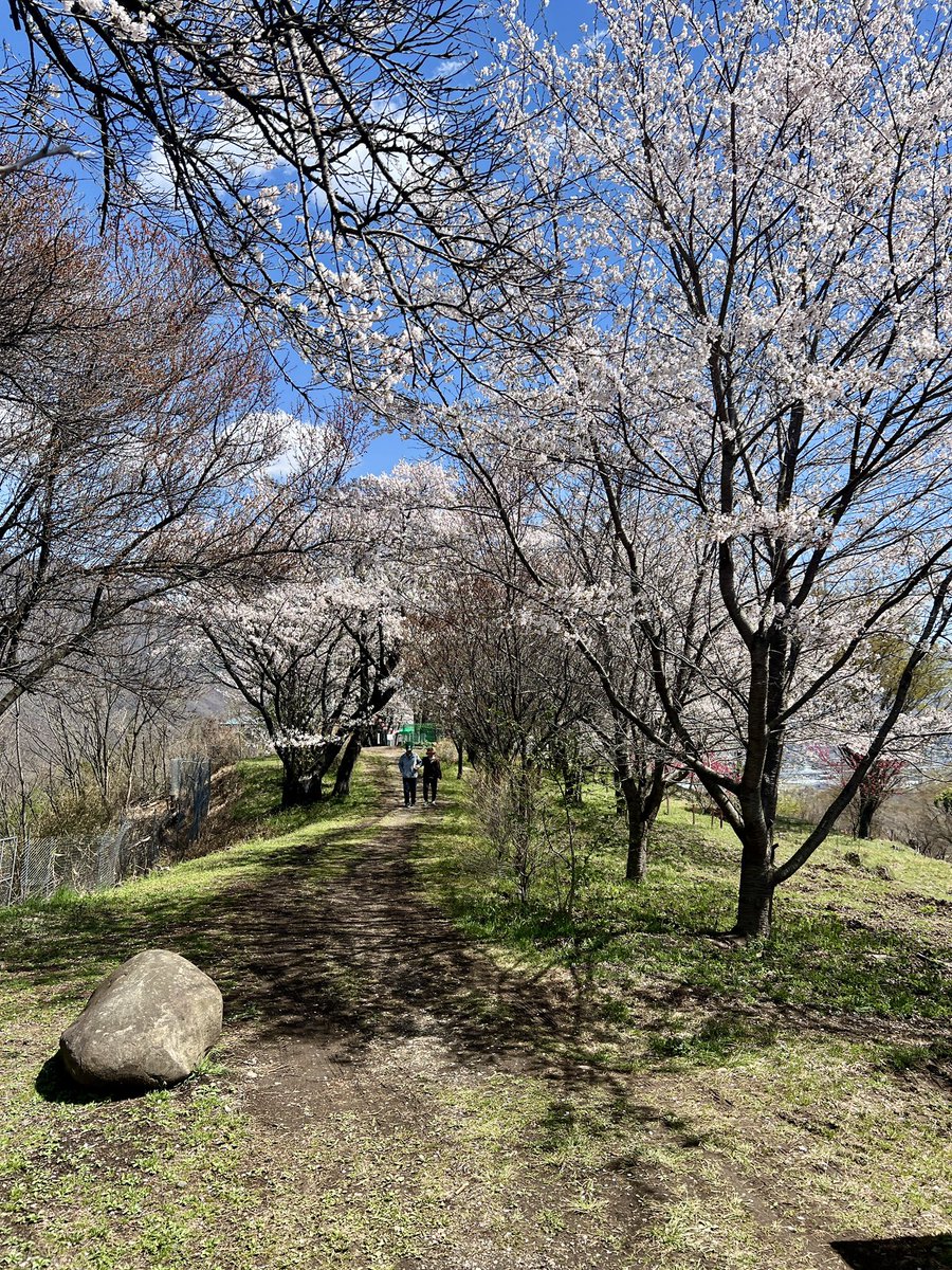 道の駅 上田 道と川の駅おとぎの里 tweet media