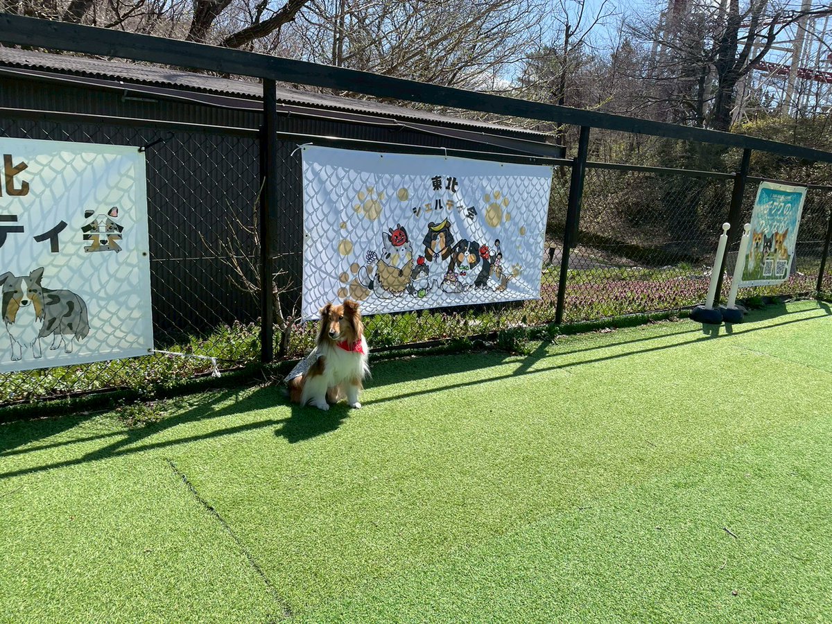 那須ハイランドパーク🎢🐶 tweet media