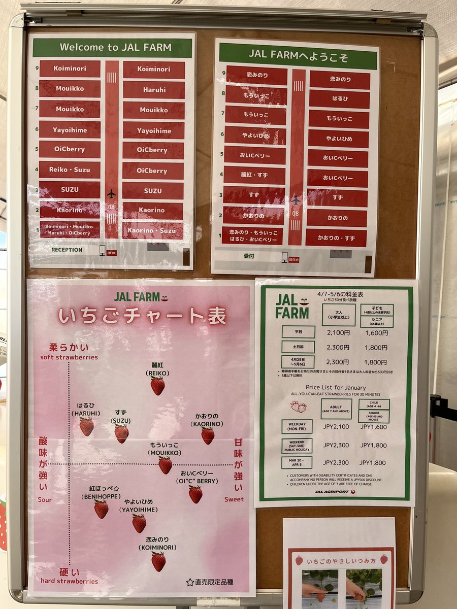 ぷるんご tweet media