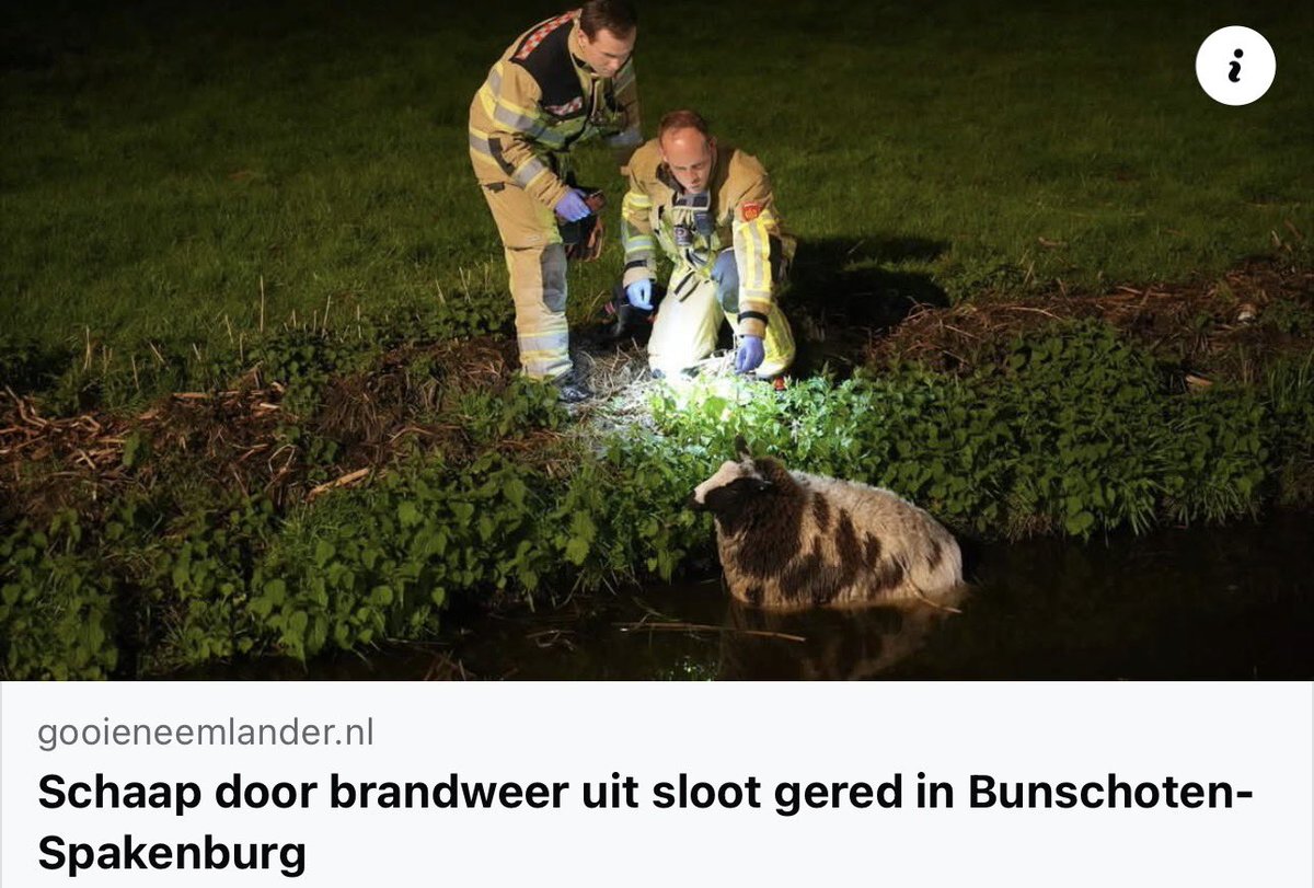 Schaap door brandweer uit sloot gered in Bunschoten-Spakenburg