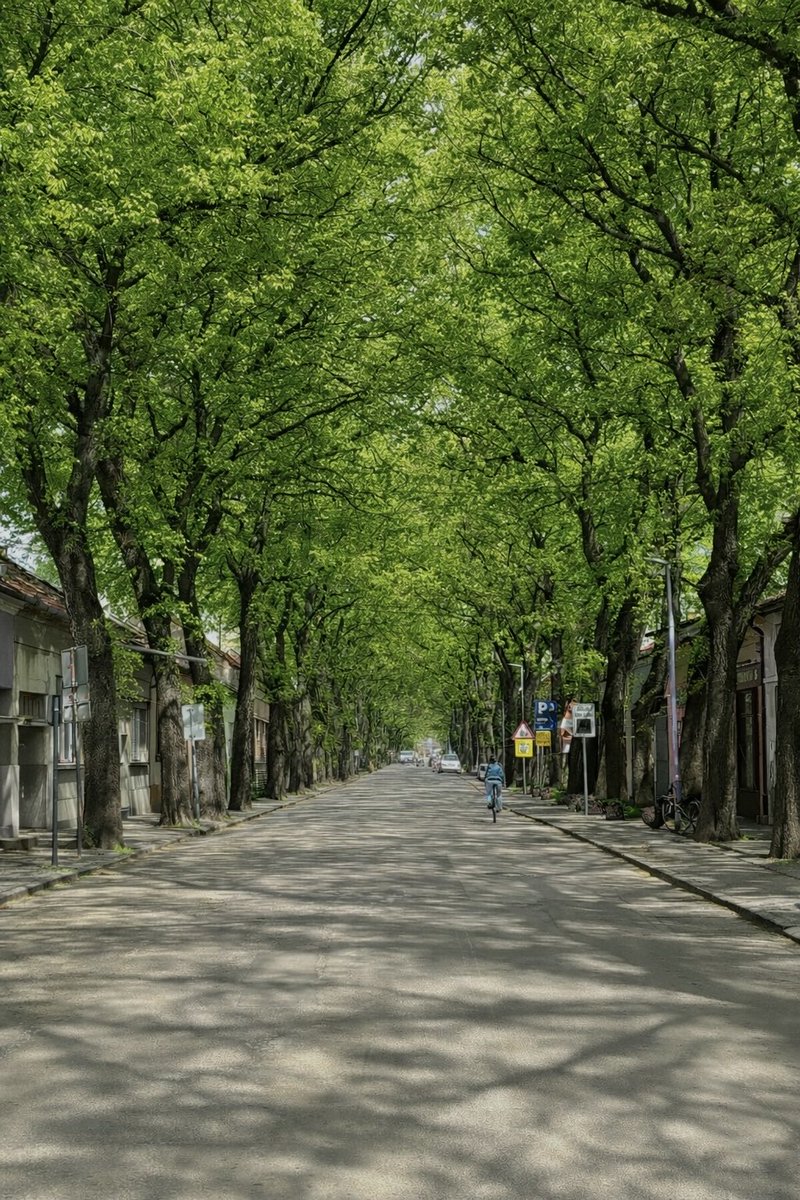 Diosa ✨ tweet media