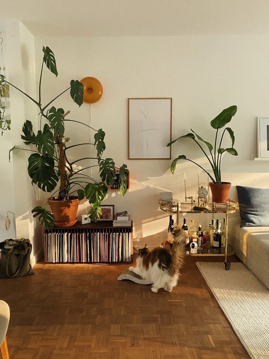 softspaces tweet media