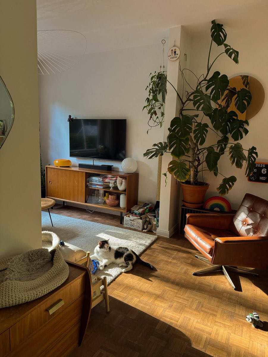 softspaces tweet media