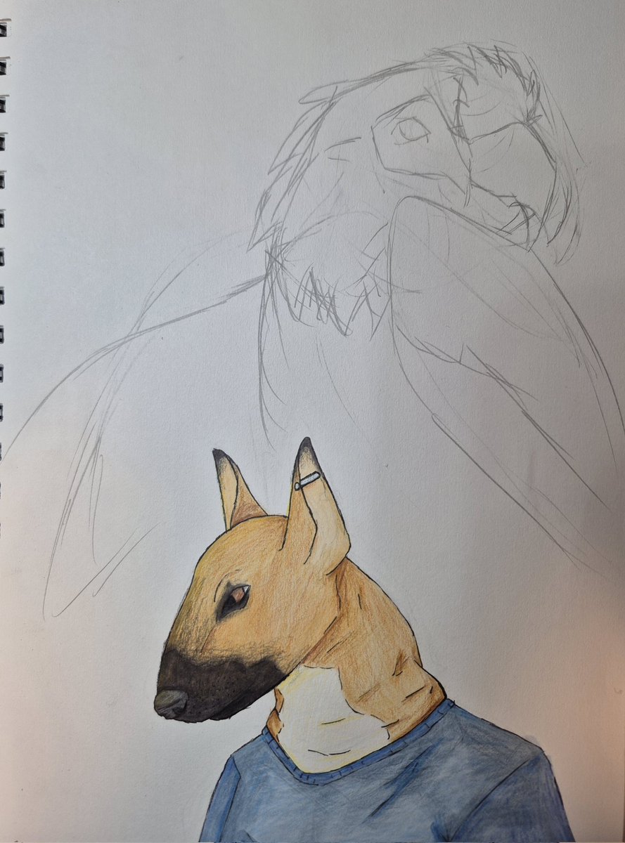 FromDemon14949's tweet photo. Some long awaited furry art for everyone.

It was originally going to be a quick sketch of a Bull terrier lady and a Military macaw (Ara militaris) man but I didn't like how the macaw was turning out so I didn't finish him.

#bullterrier #furry #art #Militarymacaw #fursona https://t.co/QbSnw45tVZ