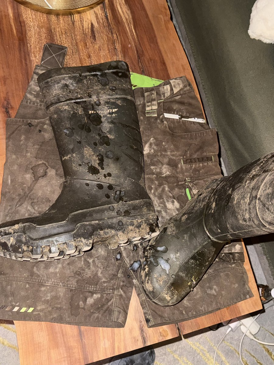 BauernBua tweet media