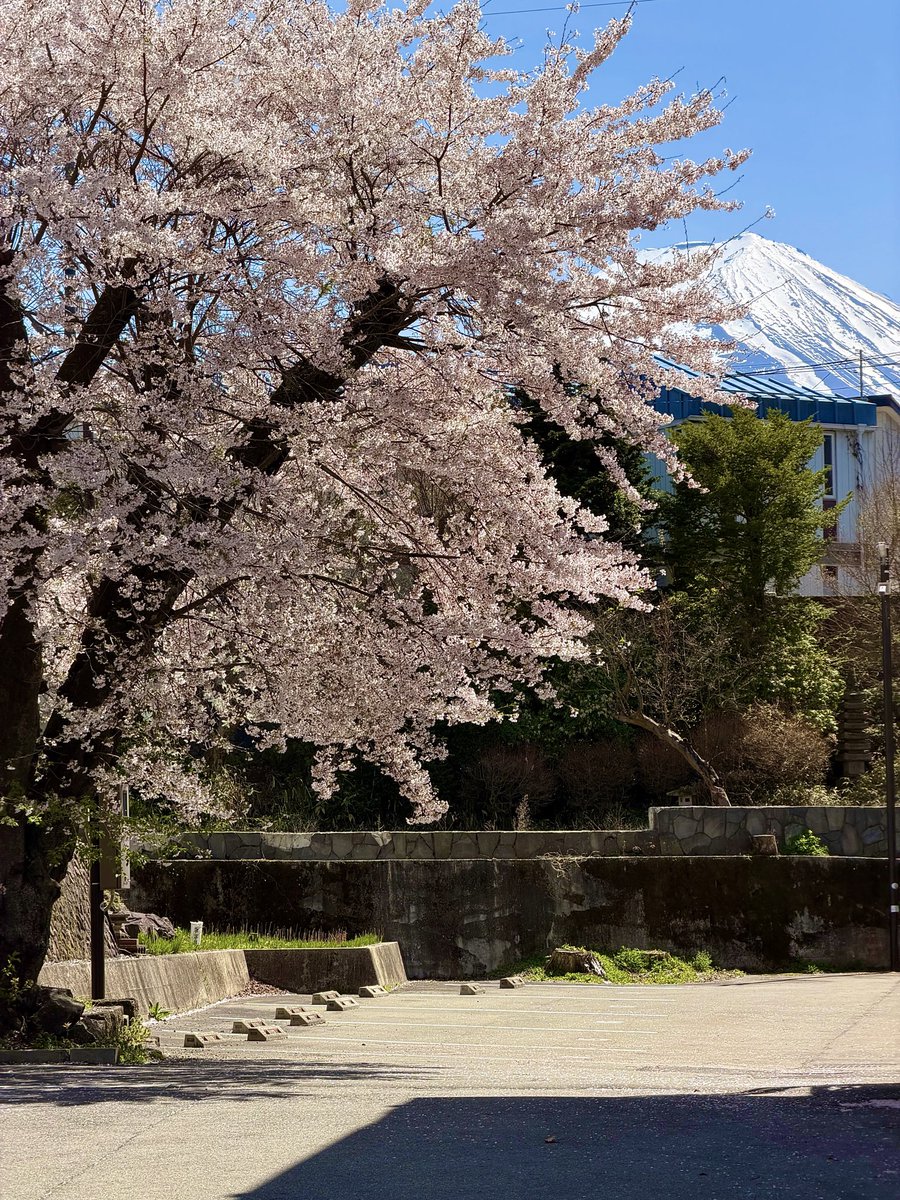 Kristina娜娜酱 (✱,✱) tweet media