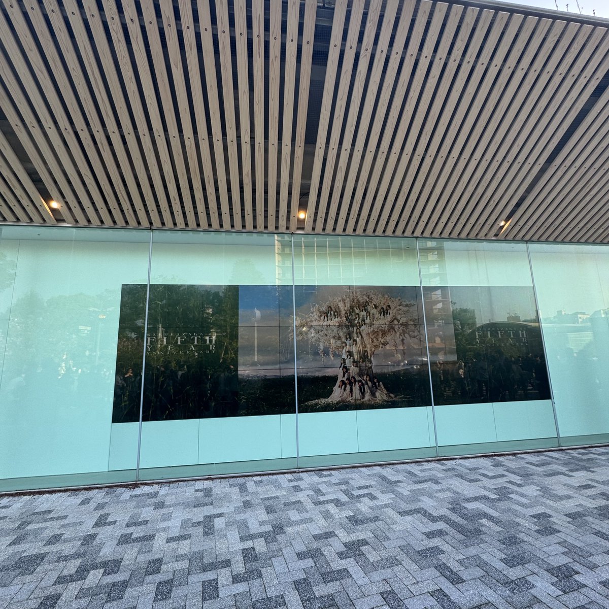 KUMA🐤 tweet media