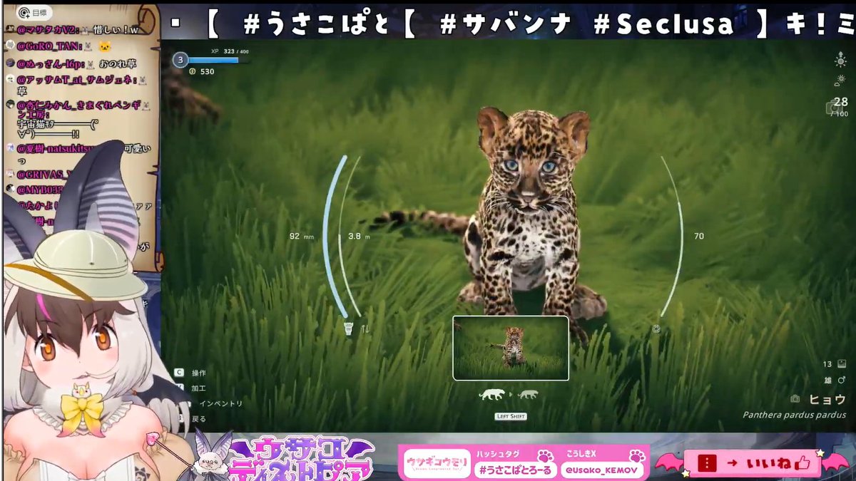 sedona_ll7046's tweet photo. #うさこぱとろーる
おつウサ～！！🐰🦇
フレンズと巡るミッドナイトサファリ！＃Seclusa！！🐾📸
久々にサバンナへチルキャンプ！
シマウマやカバにキリンでいっぱい超かわいい！！💖✨
チーターやゾウの親子が可愛くて写真が捗りますわね📸✨
お気に入りフォトゲットできてよきでありました🎶✨ https://t.co/Erd0WRIXu3