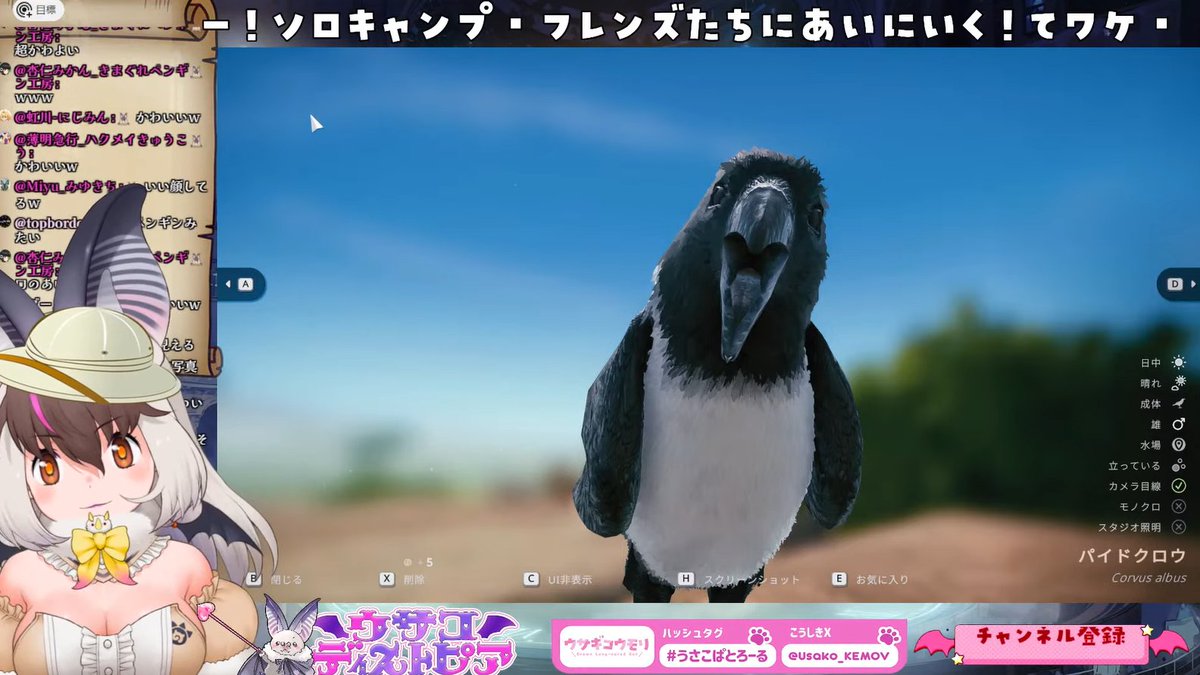 sedona_ll7046's tweet photo. #うさこぱとろーる
おつウサ～！！🐰🦇
フレンズと巡るミッドナイトサファリ！＃Seclusa！！🐾📸
久々にサバンナへチルキャンプ！
シマウマやカバにキリンでいっぱい超かわいい！！💖✨
チーターやゾウの親子が可愛くて写真が捗りますわね📸✨
お気に入りフォトゲットできてよきでありました🎶✨ https://t.co/Erd0WRIXu3