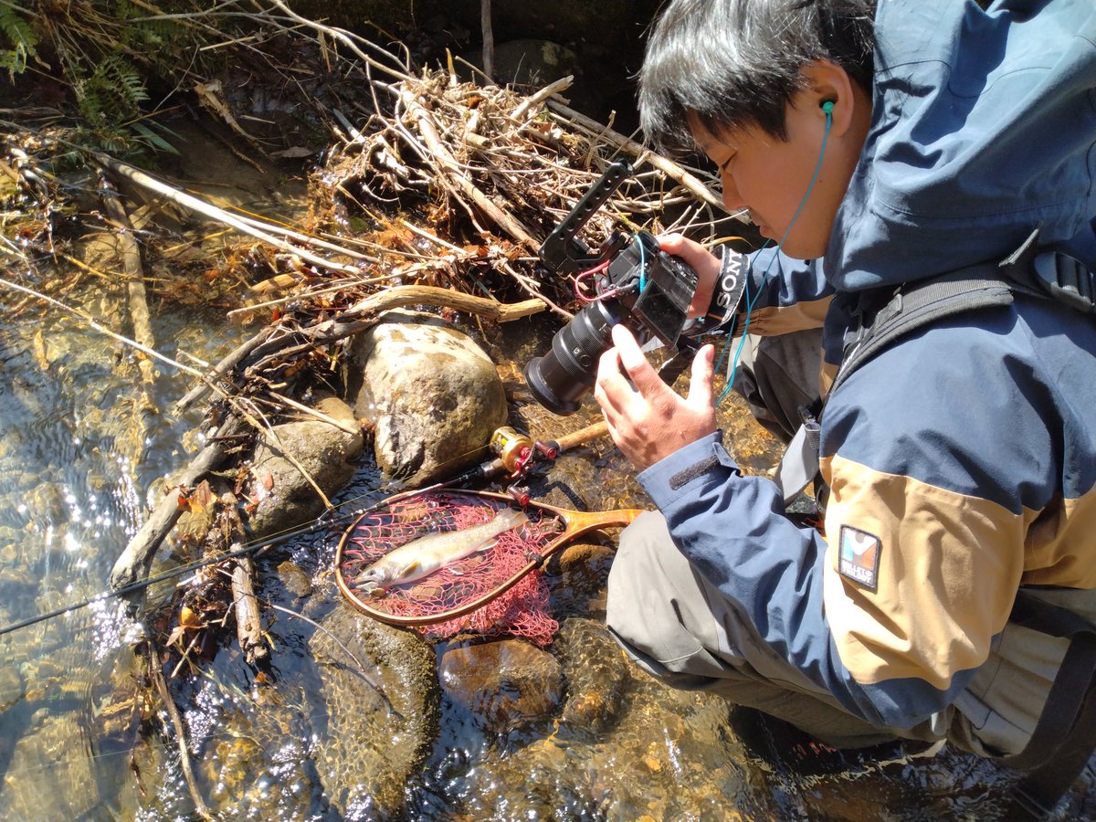 2424 西村均 tweet media