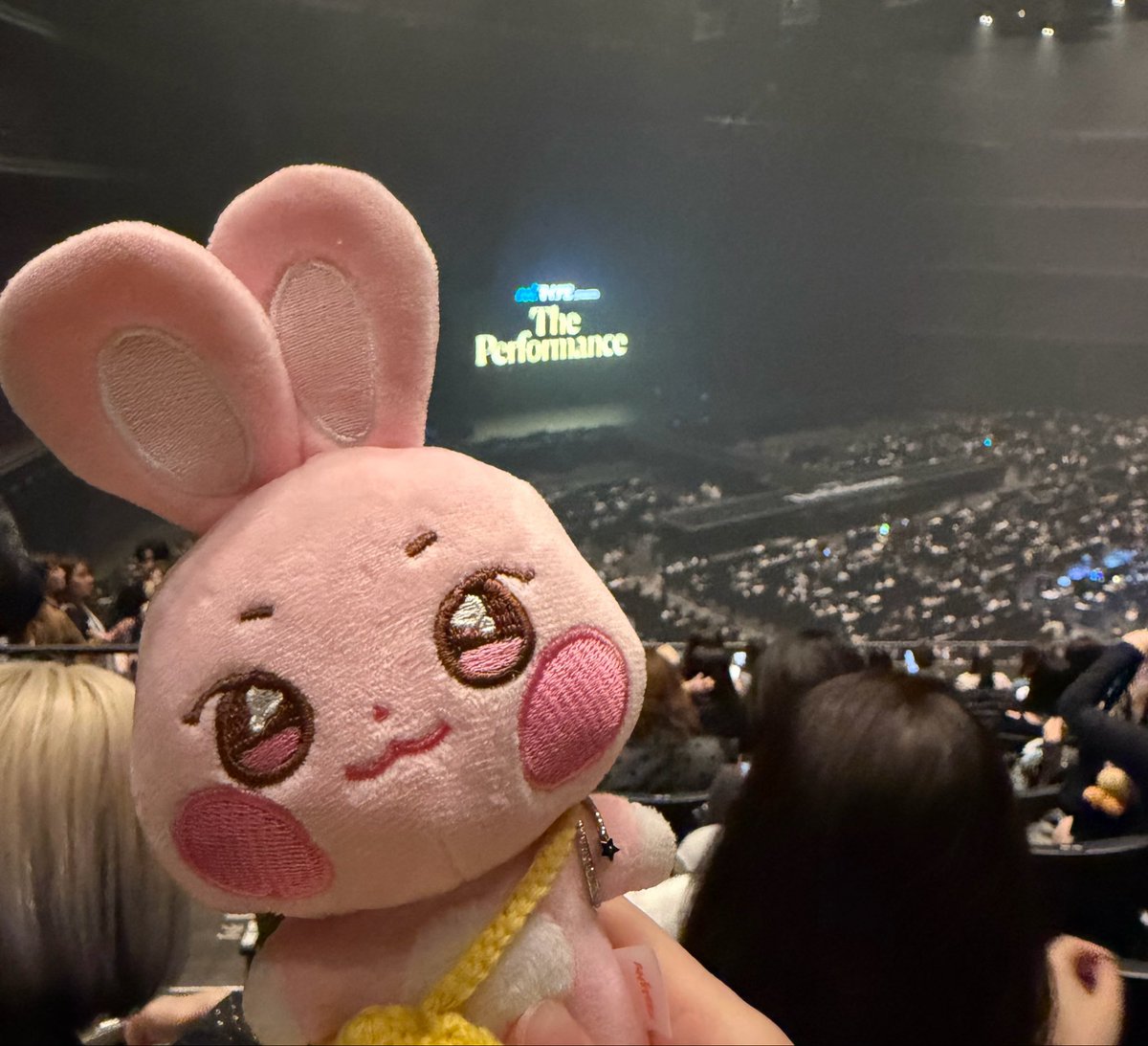 0518so3's tweet photo. アッパの去年のBDMDリングを装着して今日も応援する気まんまんのうちのびょりさん https://t.co/FhSYXR3jyH