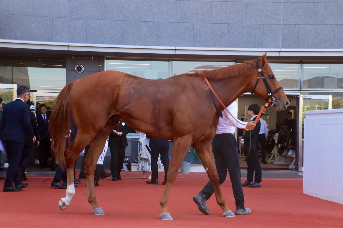 シルク・ホースクラブ（公式） tweet media