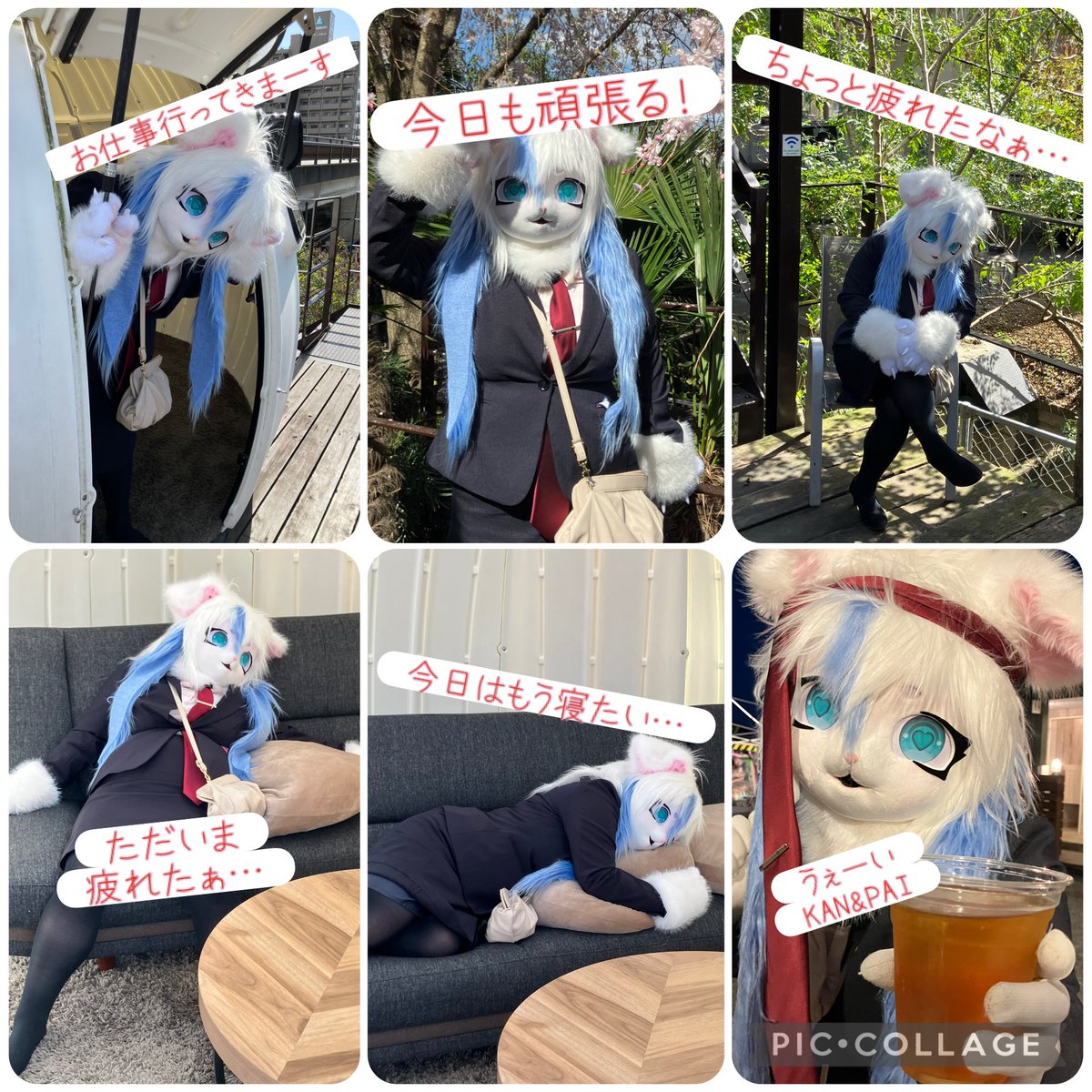 はと工作員 tweet media