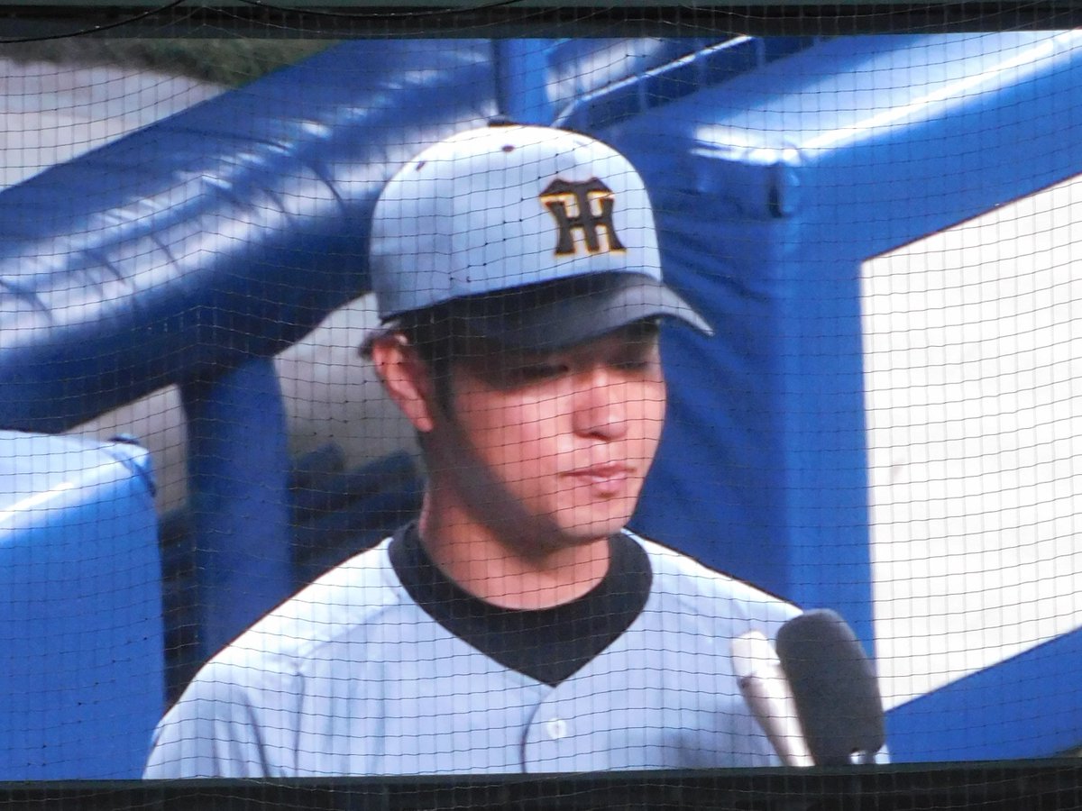 min-choi🟦🟣🐯 tweet media