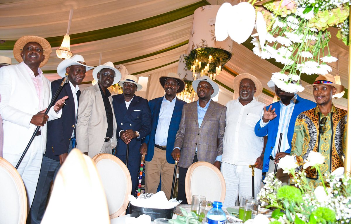 Tilingi 🐘 tweet media